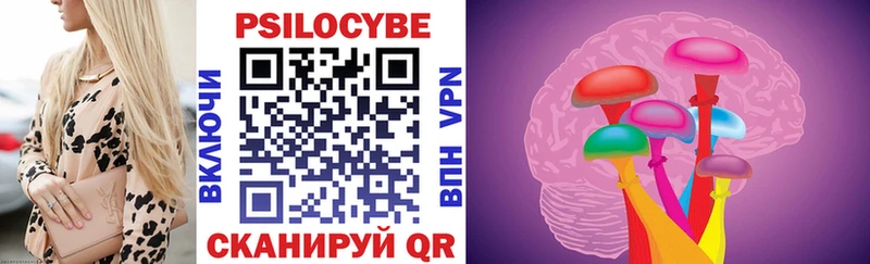 Псилоцибиновые грибы Psilocybe  Новый Оскол 